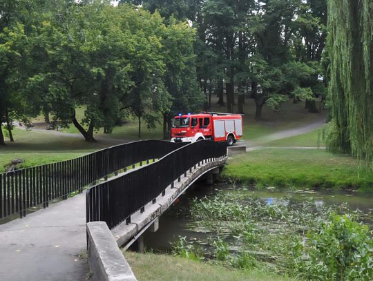 [Aktualizacja]Tragiczne odkrycie w rzece Zgłowiączce, rano wyłowiono zwłoki
