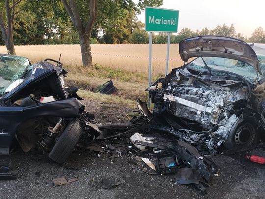 Tragiczny wypadek w regionie. Kierowca zmarł w karetce