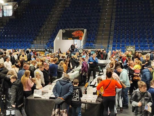 Gady opanowały Halę OSiR. Trwają Targi Terrarystyczne