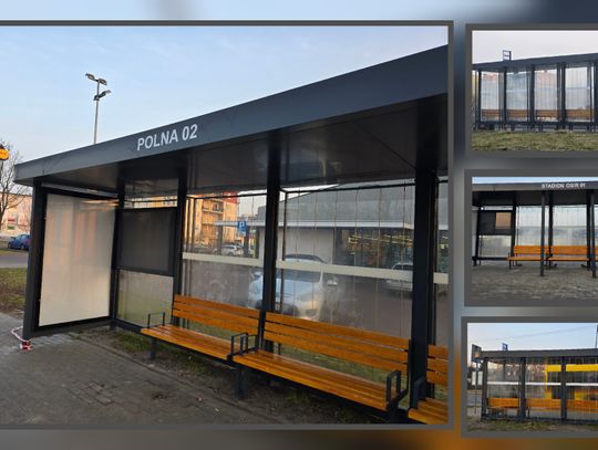 Zielone przystanki zamontowane. Koszt trzech wiat to 228 tysięcy złotych