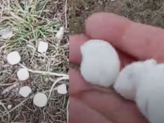 "Tych kostek jest po prostu wszędzie pełno". Na pasach zieleni we Włocławku pojawiły się bryły soli