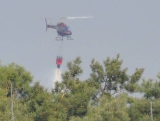 Tylko wczoraj cztery razy podpalano las! Na szczęście strażacy zdążyli gasić pożary w zarodku