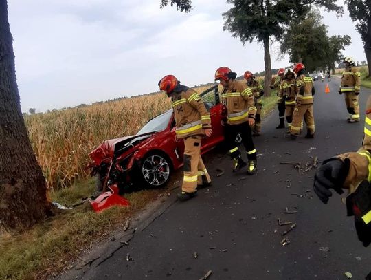 Uderzył w drzewo, chciał ominąć przebiegające drogą zwierzę 