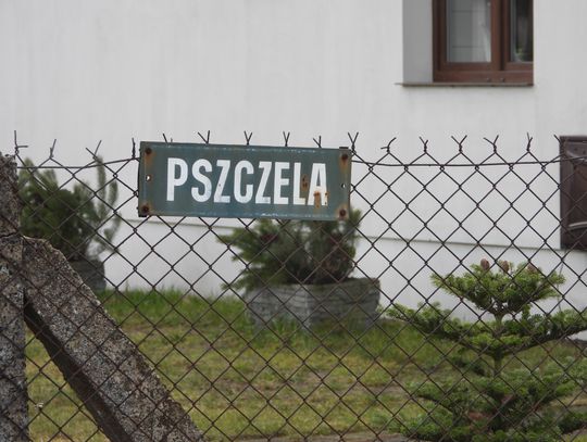 Ulica Pszczela i Ziołowa do przebudowy