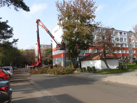 Ulica Wesoła zamknięta. Przyczyną jest pochylone drzewo