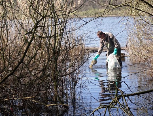 Uporządkowali nabrzeże jeziora Rybnica