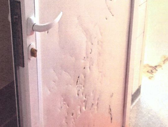 Uszkodził drzwi włocławskiego szpitala. Uderzał w nie stojakiem od kroplówki...