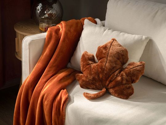 Viralowe perełki w Agacie: opinie o bestsellerach, które musisz mieć!