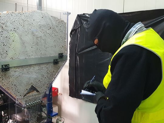 W centrum Włocławka rozkręcili intratny biznes... Policja zatrzymała 34 i 36-latka