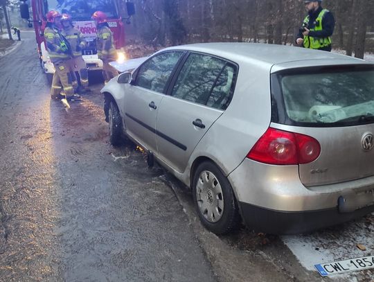 W Józefowie samochód osobowy uderzył w drzewo. Ruch był utrudniony