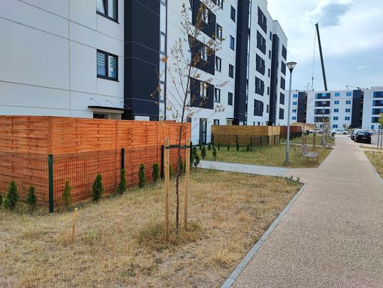 Spór o płoty na Celulozowej: "Budowniczowie bud z parteru" opanowali osiedle?