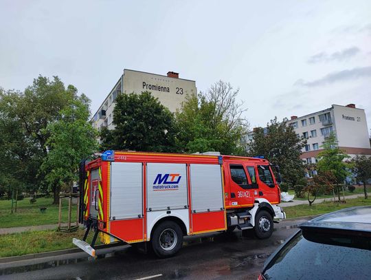 W mieszkaniu znajdowały się zwłoki kobiety w zaawansowanym stopniu rozkładu