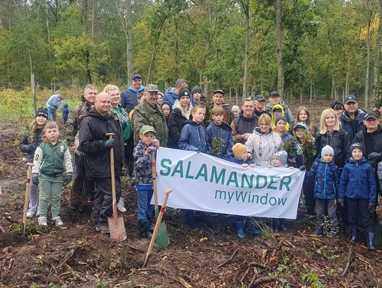 W sobotę pracownicy firmy Salamander posadzili 1000 buków