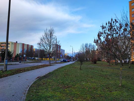 W święta pogoda raczej jesienna niż zimowa. Do 10°C i deszcz