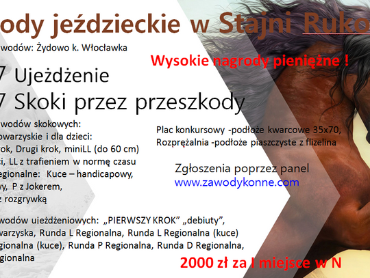 W weekend w Żydowie zawody jeździeckie 