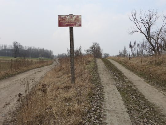 Wał przeciwpowodziowy zostanie odrestaurowany. Ratusz ogłosił postępowanie ofertowe