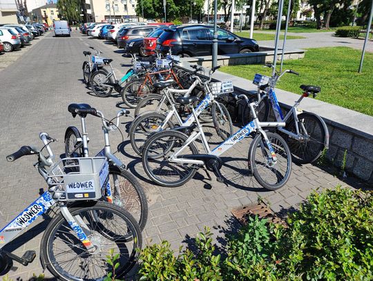 Wandale niszczą Włowery. W czerwcu nałożono kary na ponad 18 000 zł 