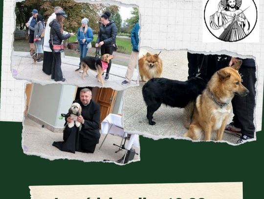 We Włocławku pobłogosławią zwierzęta