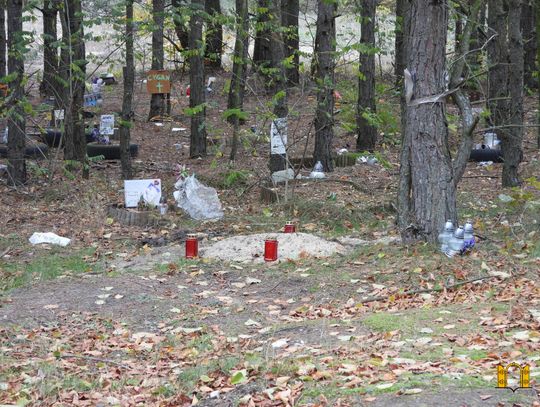 We Włocławku powstanie grzebowisko dla zwierząt? Radna złoży interpelację
