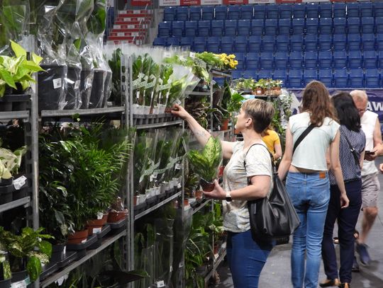 We Włocławku odbywa się Festiwal Roślin
