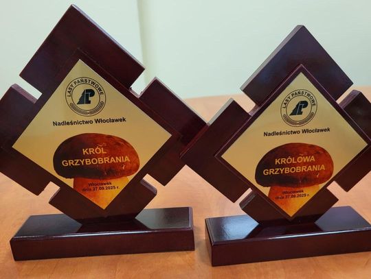 We Włocławku wybiorą Króla i Królową Grzybobrania