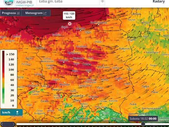 Wiatr może wyrywać drzewa z korzeniami i zrywać dachy. IMGW: Wielka wichura dziś w nocy nie ominie Włocławka 