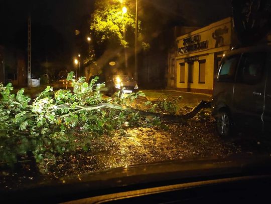 Wiatr połamał drzewa, Straż Pożarna interweniowała 20 razy