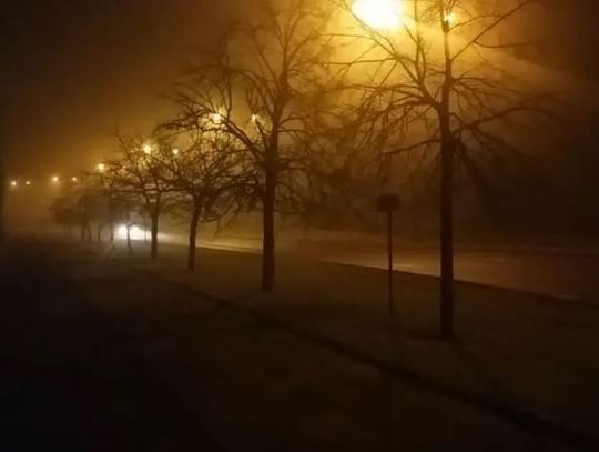 Wieczorem gęsta mgła. Widoczność spadnie poniżej 200 metrów