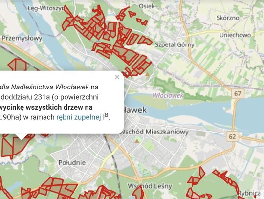 Wielka wycinka Lasów Państwowych we Włocławku? W sieci pojawiła się mapa