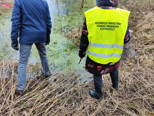 WIOŚ zbadał jakość wody w rowie na Słodowie oraz w Zgłowiącze, są wyniki
