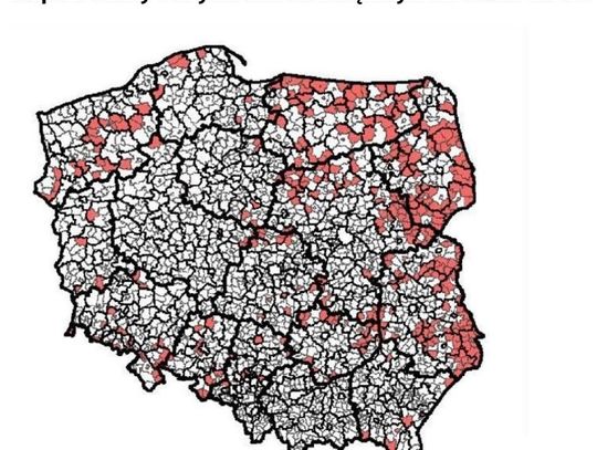 Włocławek w niechlubnej czołówce. Najnowsze dane spisu powszechnego