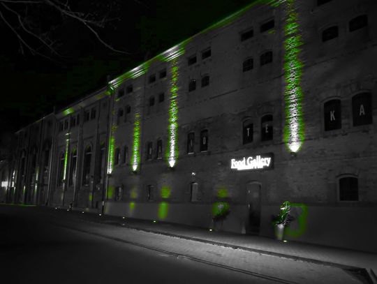 Włocławek w projekcie Global Greening 2019