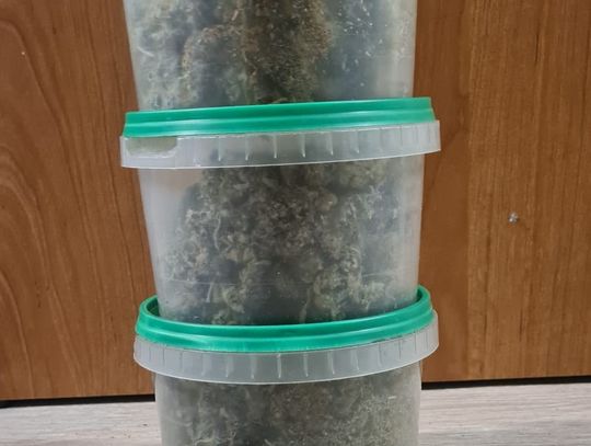 Włocławianin posiadał 120 gramów marihuany. Grozi mu do 10 lat pozbawienia wolności