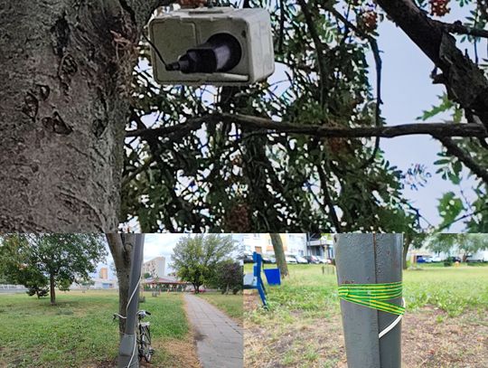 Włocławianka niepokoi się o dzieci. Do latarni podłączony jest przewód biegnący na drzewo