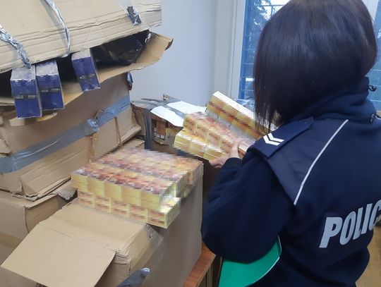 Włocławscy policjanci zabezpieczyli 61 600 nielegalnych papierosów oraz kilogram tytoniu