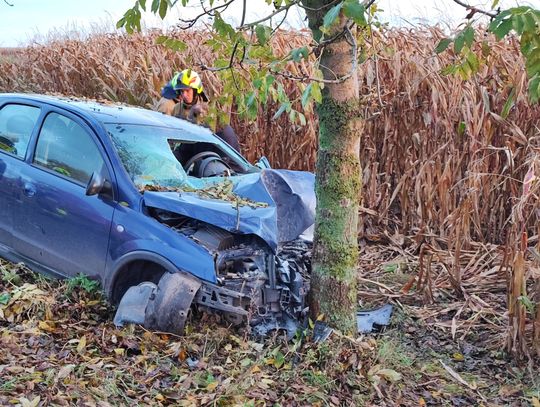 Wypadek pod Włocławkiem. Kierowca był zakleszczony