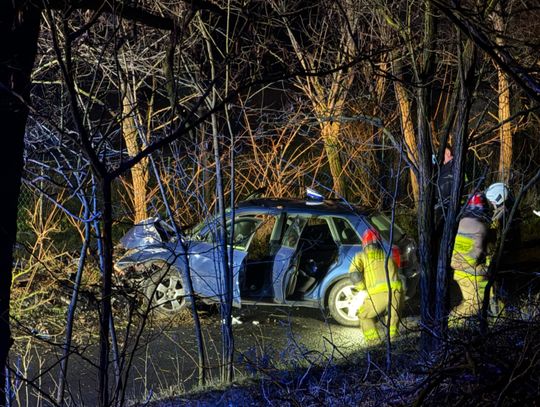 Wypadek w Dębniakach: Audi uderzyło w drzewo
