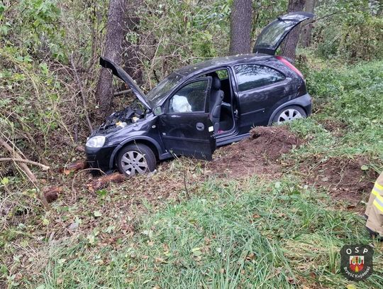 Wypadek w pobliżu Pikutkowa. Opel uderzył w drzewo