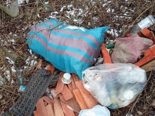 Wyrzucił śmieci do rowu. Zapłaci 500 zł mandatu