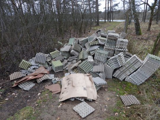 Wytłaczanki porzucone nad j. Wikaryjskim mogą być niebezpieczne dla leśnego ptactwa...