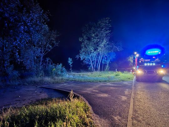 Wzmożone patrole Straży Leśnej. Ktoś podpala lasy!