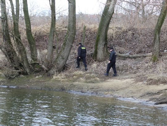 Zabójstwo w gm. Lubicz. W obławie uczestniczyło kilkuset policjantów