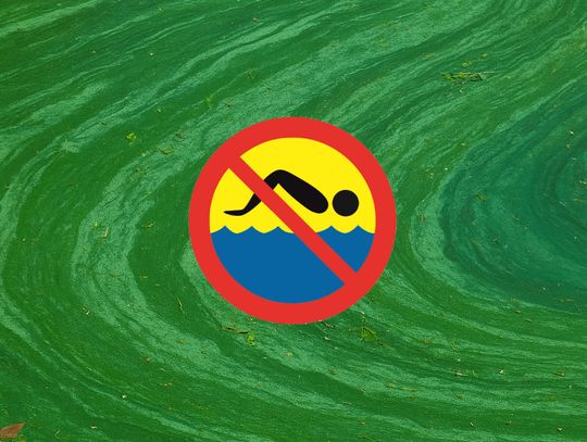 Zakaz kąpieli w jeziorze Czarnym. Decyzję wydał Sanepid