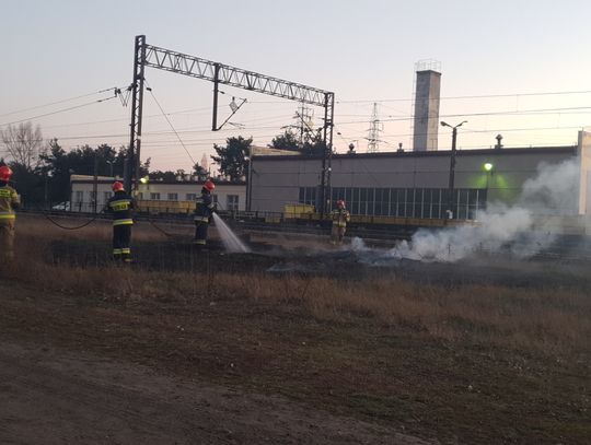 Zamiast z koronawirusem walczą z pożarami traw. Straż pożarna gasiła dziś pożar trawy w pobliżu torów
