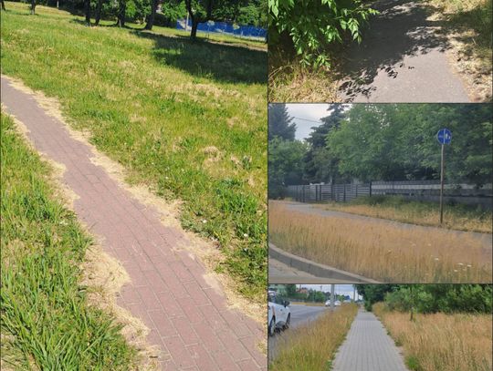 Zarośnięte miejskie trawniki, ścieżki rowerowe i chodniki, ale u prezydenta i zastępcy wykoszone