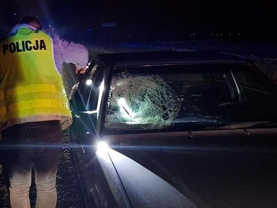 Zatrzymanie obywatelskie pijanego włocławianina. Znieważył policjantów, nie posiadał uprawnień, wjechał do rowu...