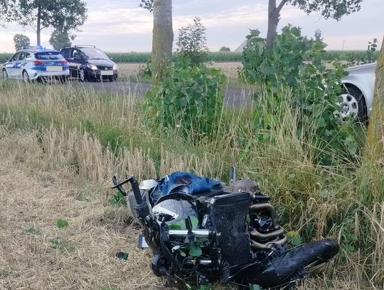 Zderzenie motocyklisty z drzewem w gm. Osięciny, chciał uniknąć zderzenia z sarną