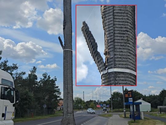 Zgłoszenie mieszkanki Włocławka uratowało bezpieczeństwo pieszych – słup oświetleniowy naprawiony