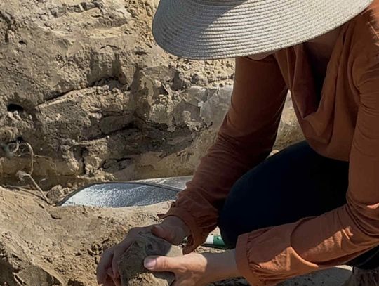 Trwają wykopaliska archeologiczne w powiecie włocławskim. Znaleziska z epoki brązu