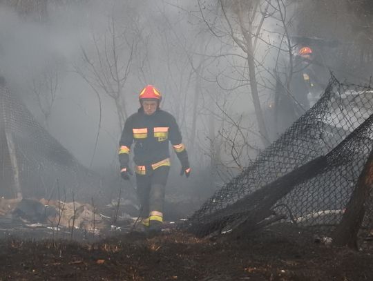 Znów pożar na osiedlu Południe. Spłonęła szopa i trawa 